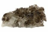 Dark Smoky Quartz Crystal Cluster - Brazil #84847-1